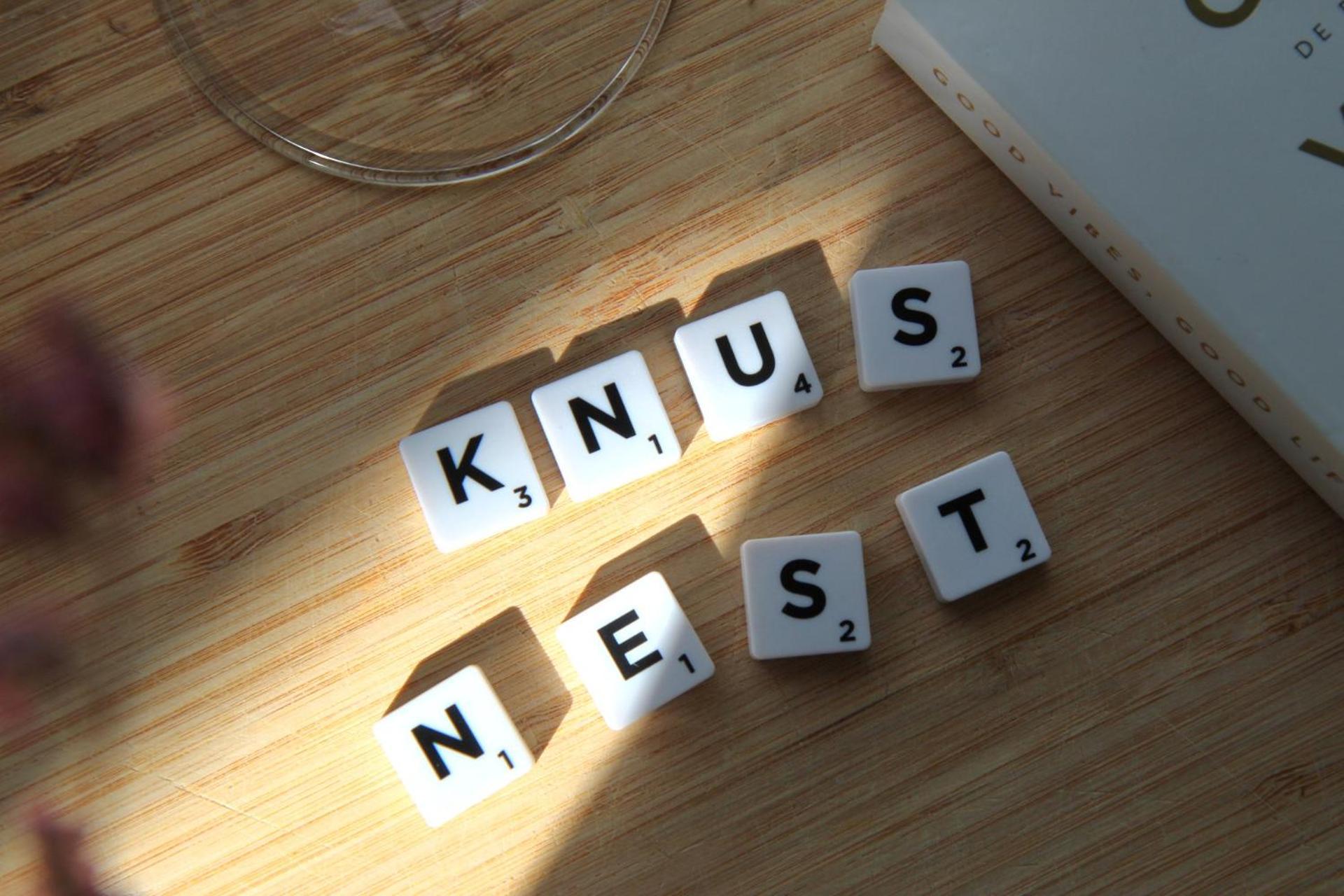 Buitenverblijf Nest Arnhem Ngoại thất bức ảnh